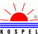 http://www.kospel.pl Kospel SA